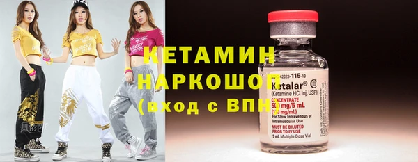 крисы Горняк