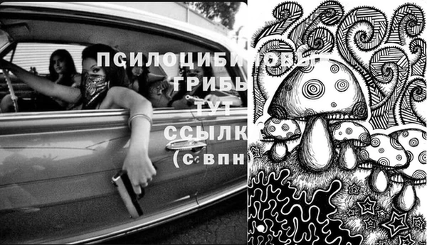 мескалин Чердынь