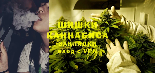 гидра Чекалин