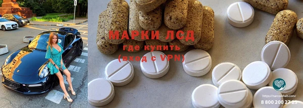 крисы Горняк