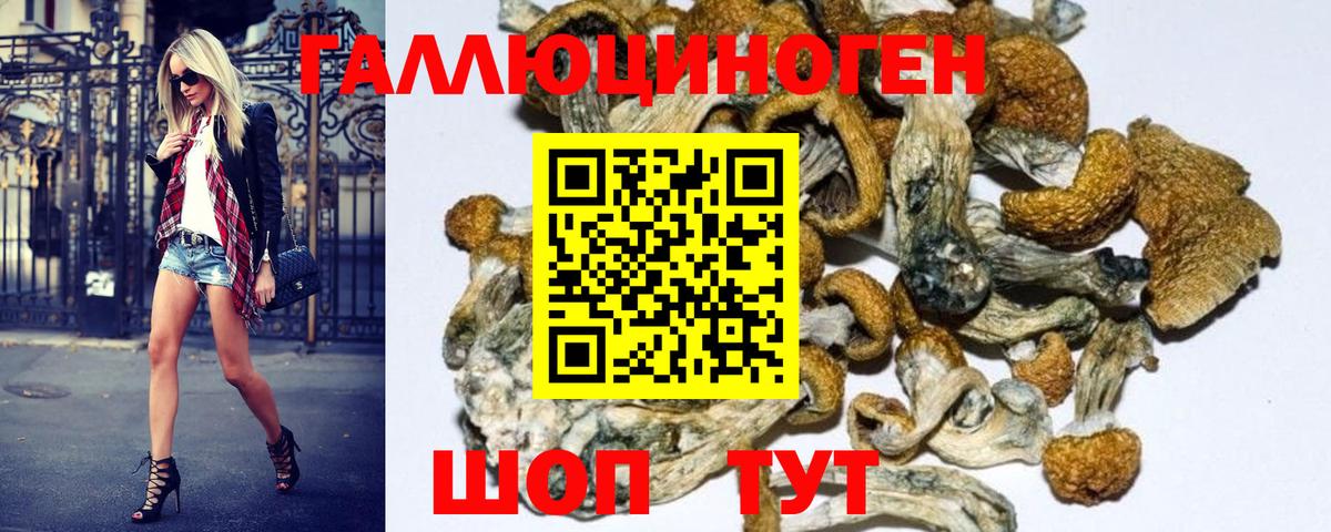 Галлюциногенные грибы Cubensis  Нурлат 