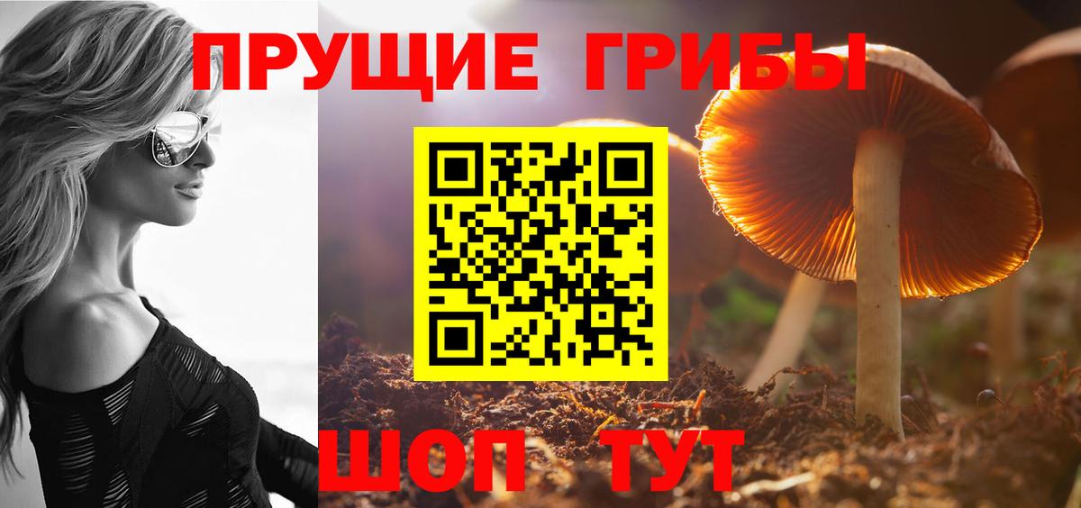Нурлат  Псилоцибиновые грибы мицелий  Вход с VPN 